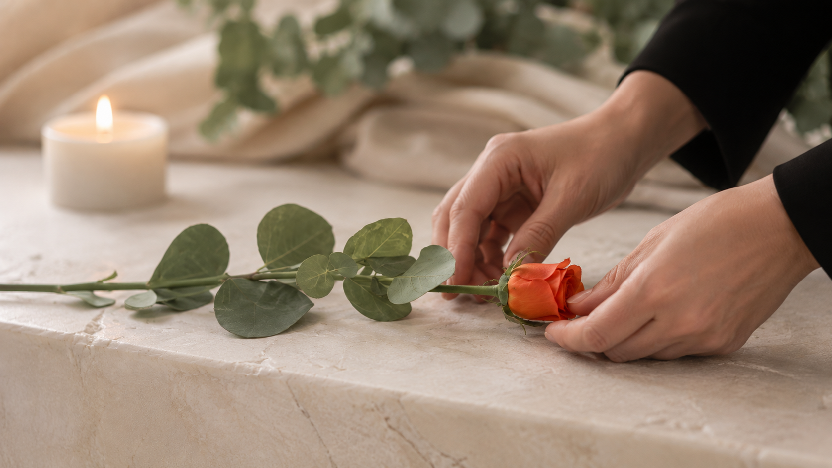 Mani che posano con delicatezza una rosa, gesto di cura e vicinanza